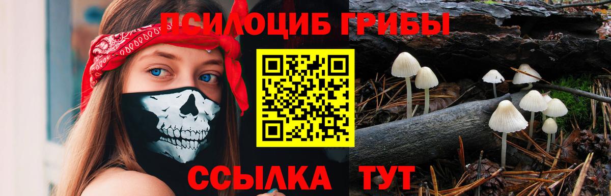 Псилоцибиновые грибы GOLDEN TEACHER Новокуйбышевск