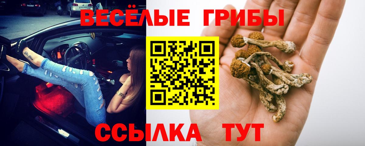 Галлюциногенные грибы мицелий  Вход с VPN  Псилоцибиновые грибы прущие грибы  Новокуйбышевск 